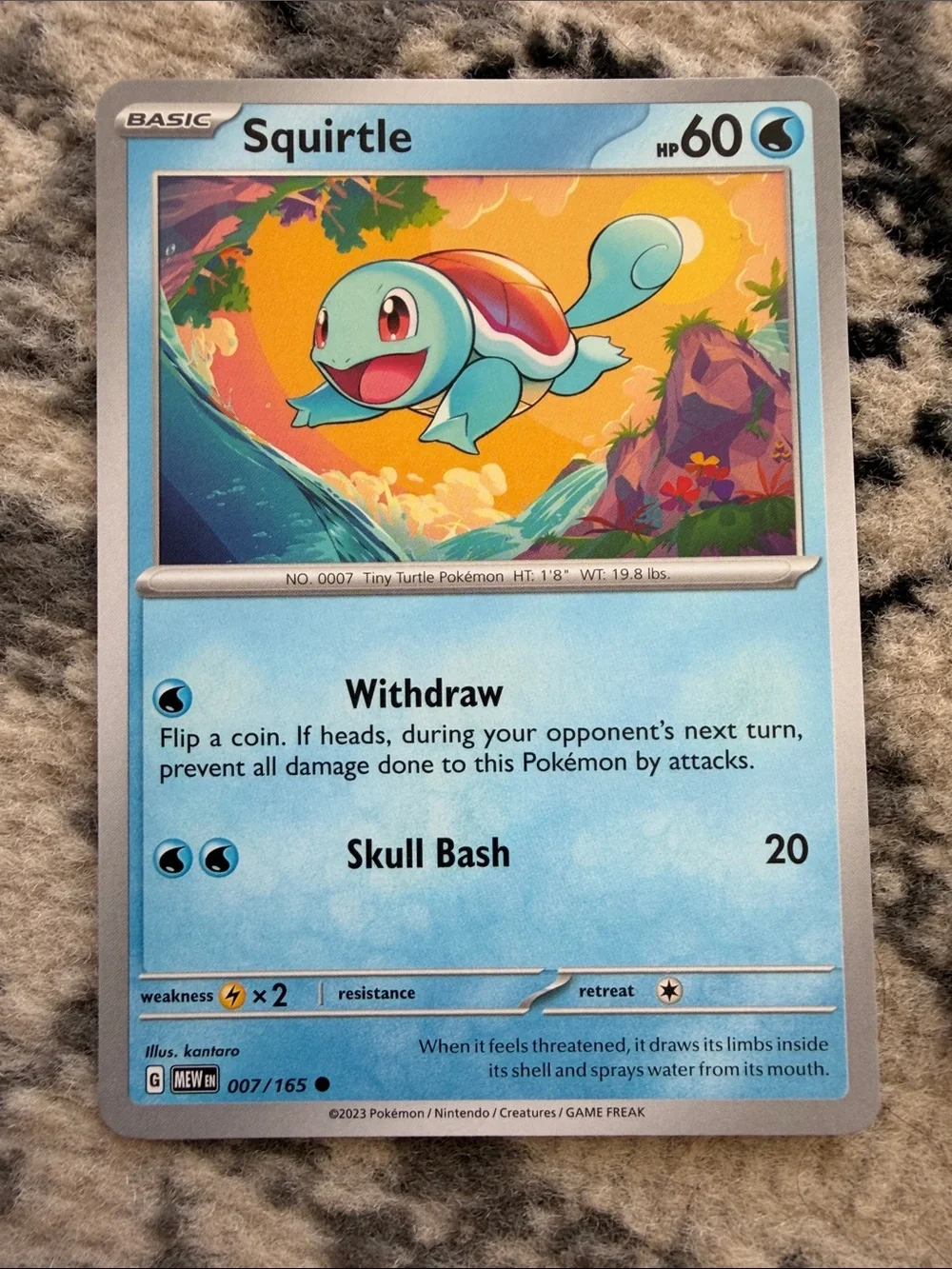 Squirtle & Wartortle Evolution Line Lot | Pokémon 151 | ✨5/$25✨